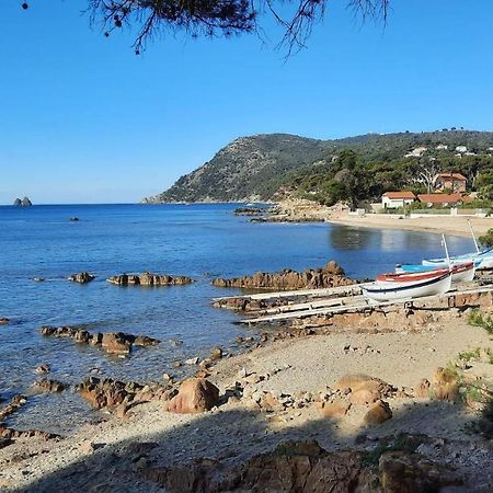 Les Bois Flottes . Plage De La Verne ラ・セーヌ・シュル・メール エクステリア 写真