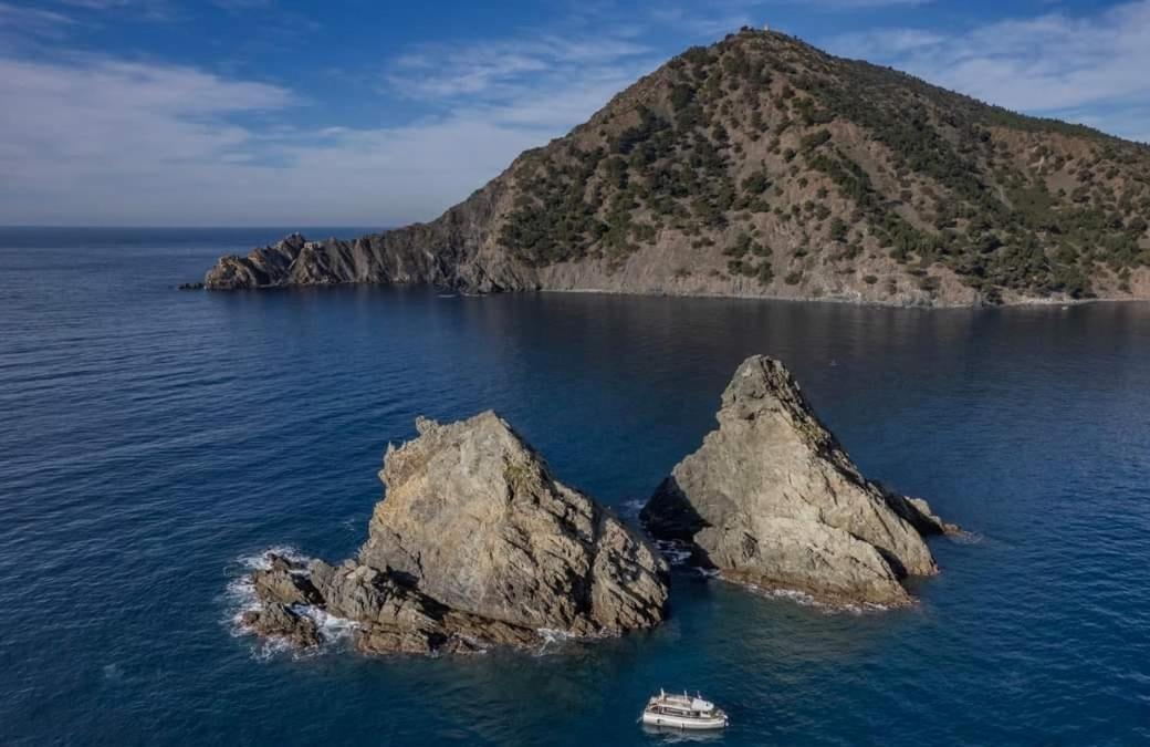 Les Bois Flottes . Plage De La Verne ラ・セーヌ・シュル・メール エクステリア 写真